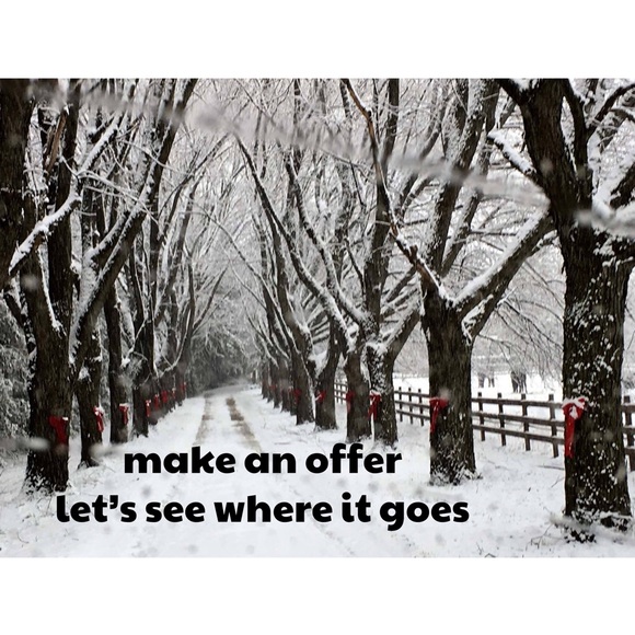 Just in. - Picture 13 of 16